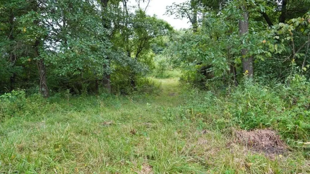 Picture 22