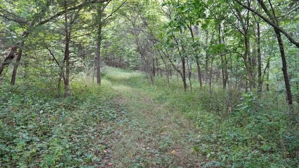 Picture 25
