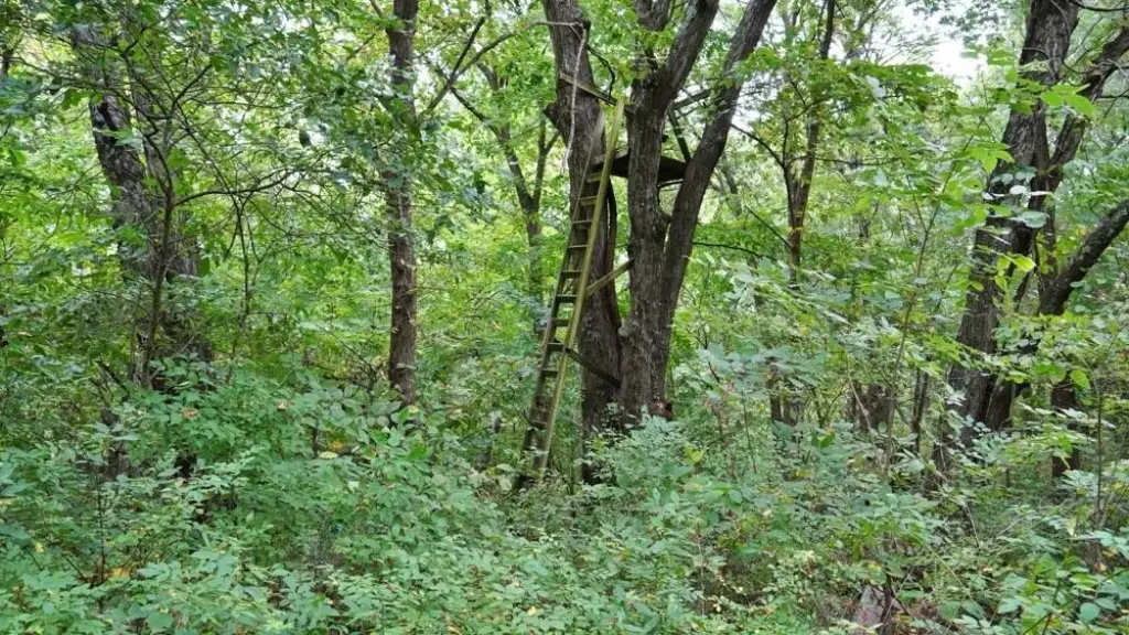 Picture 30