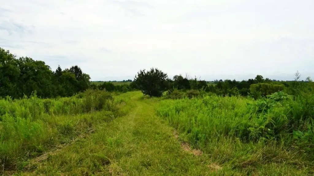 Picture 28