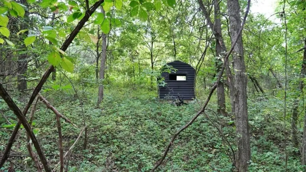 Picture 31