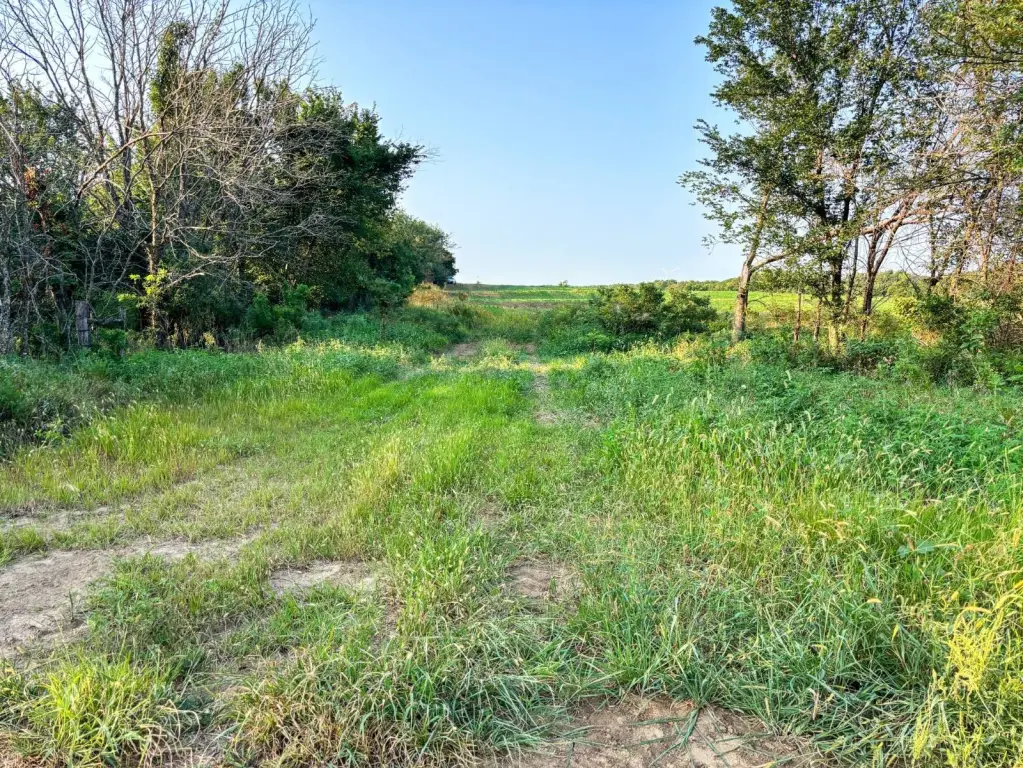 Picture 43
