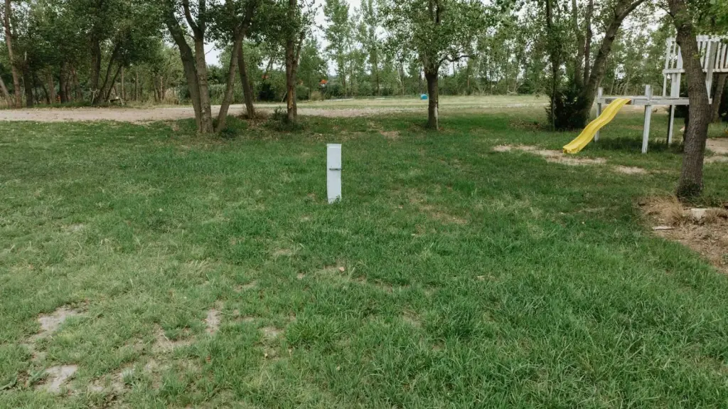 Picture 8