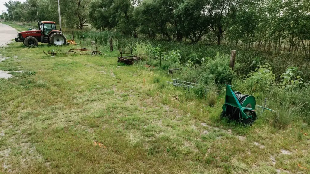 Picture 12