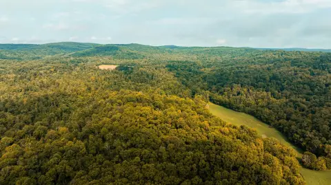 Contiguous Hunting Land