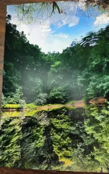 Land Near Hungry Mother Park