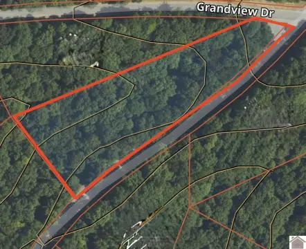 Wooded Lot Near Lake Barkley