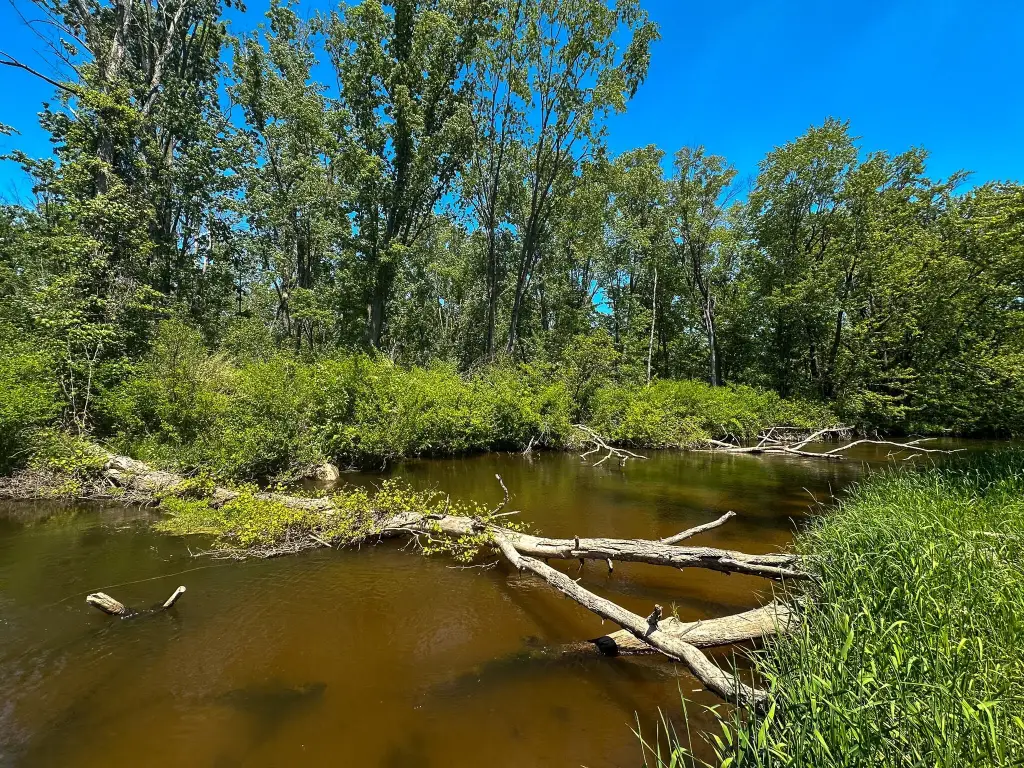 Picture 22
