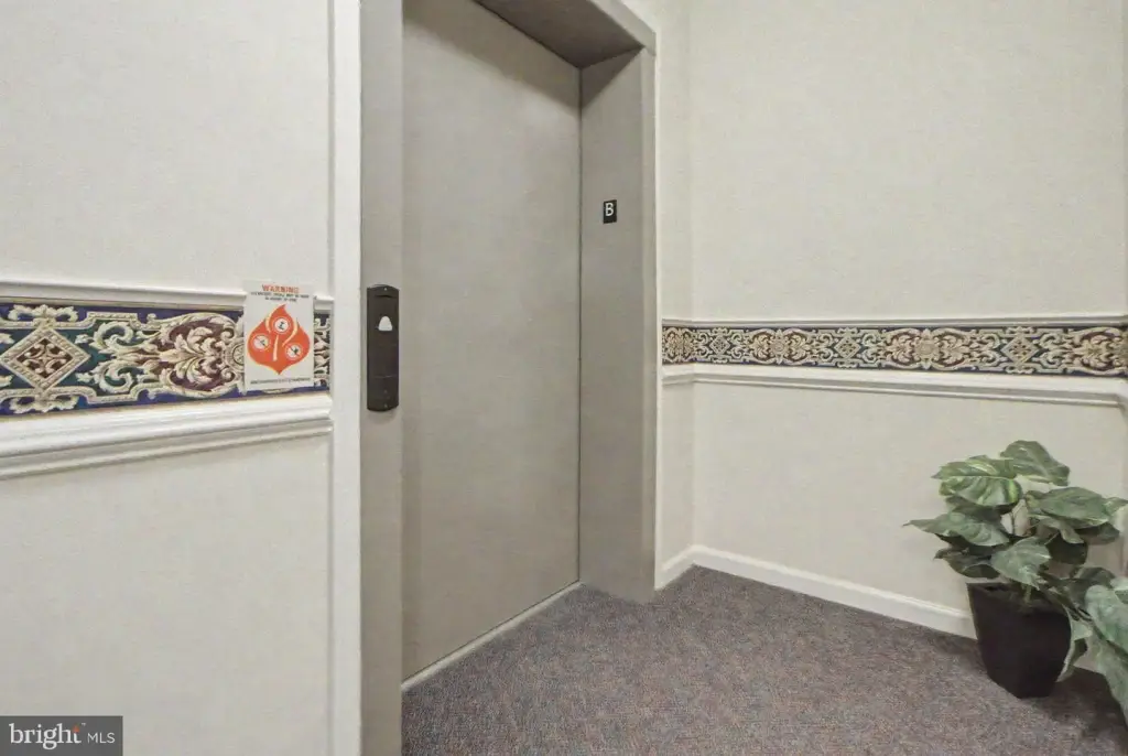 Picture 33