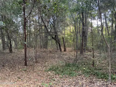 St. Helena Island Wooded Lot