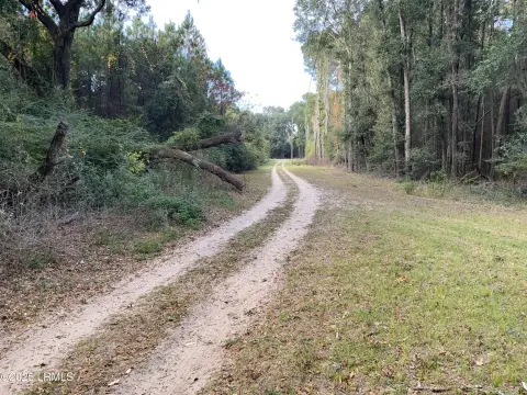 St. Helena Island Wooded Lot