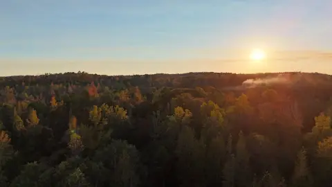 Secluded Land with Duck Pond