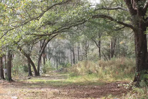 Hardeeville Land with Utilities