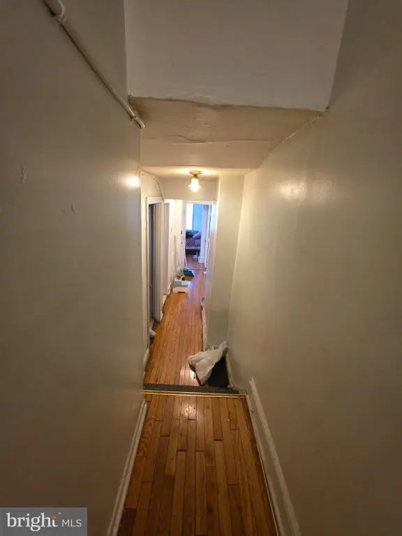 Picture 8