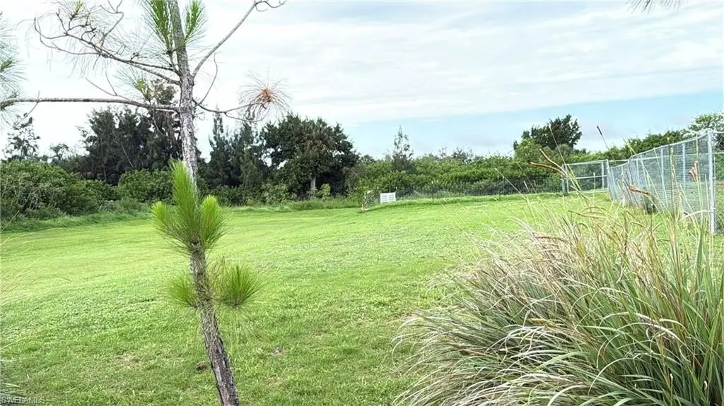 Picture 13