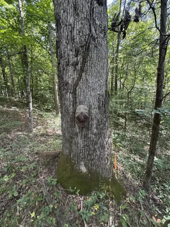 Picture 30