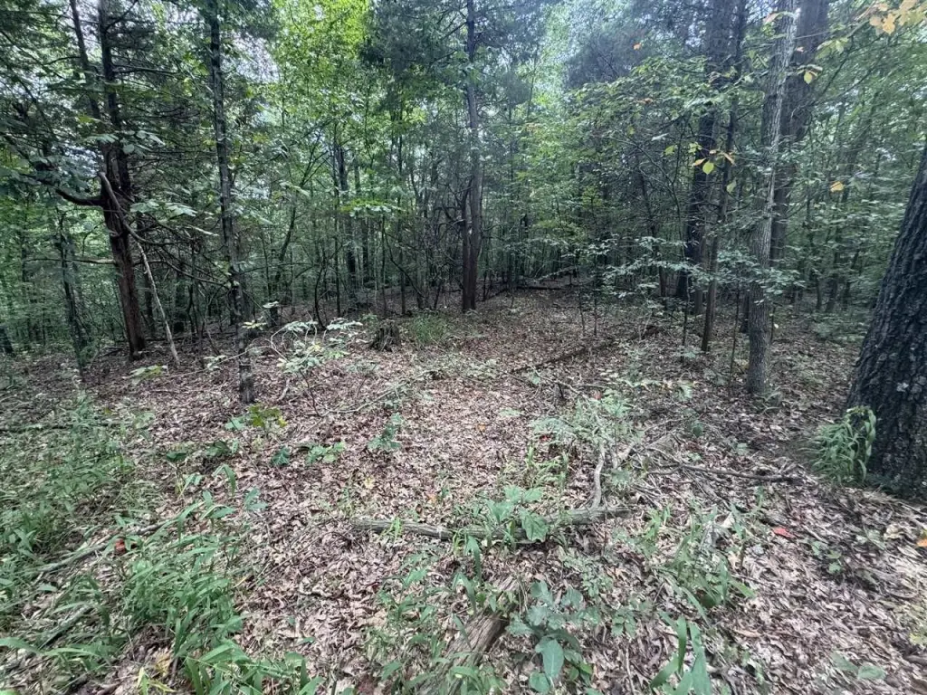 Picture 25