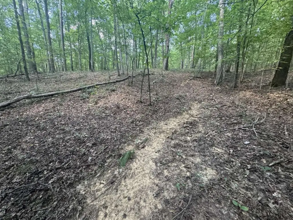 Picture 17