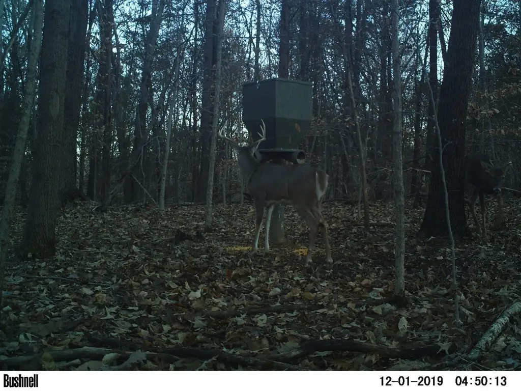 Picture 32