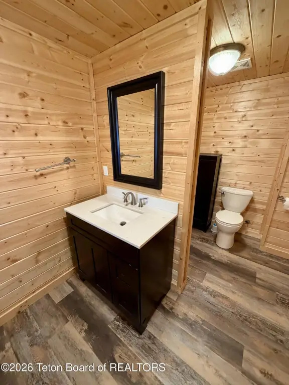 Picture 16