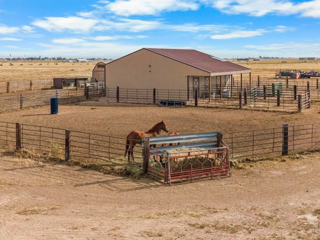 Picture 17
