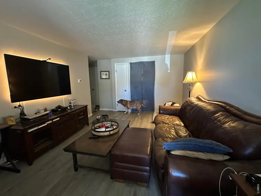 Picture 13