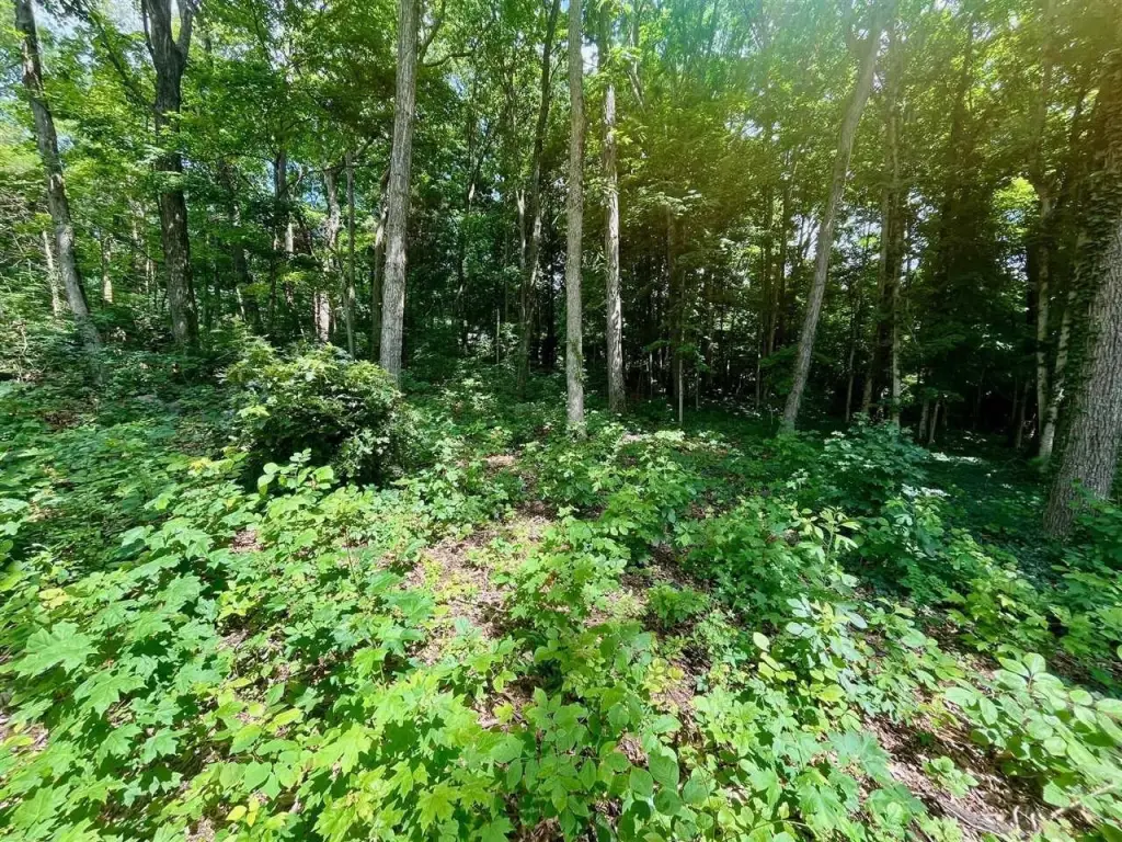 Picture 20