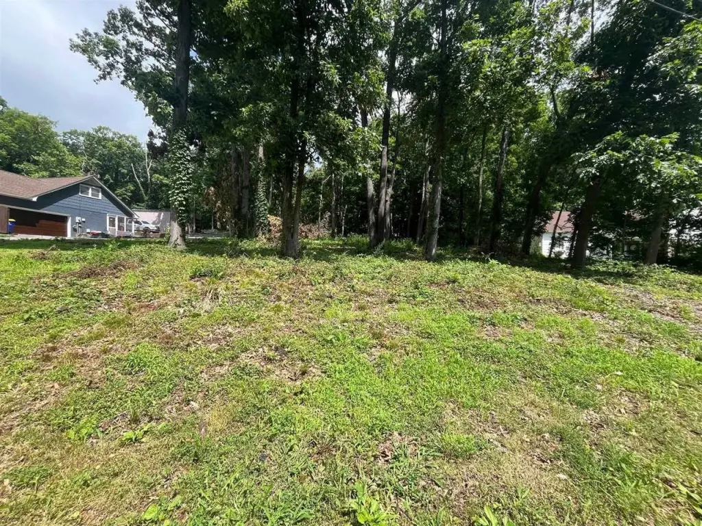 Picture 18