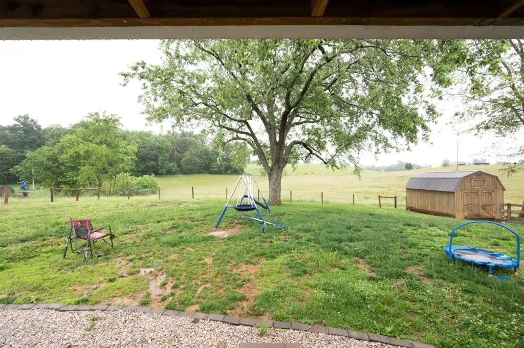 Picture 31