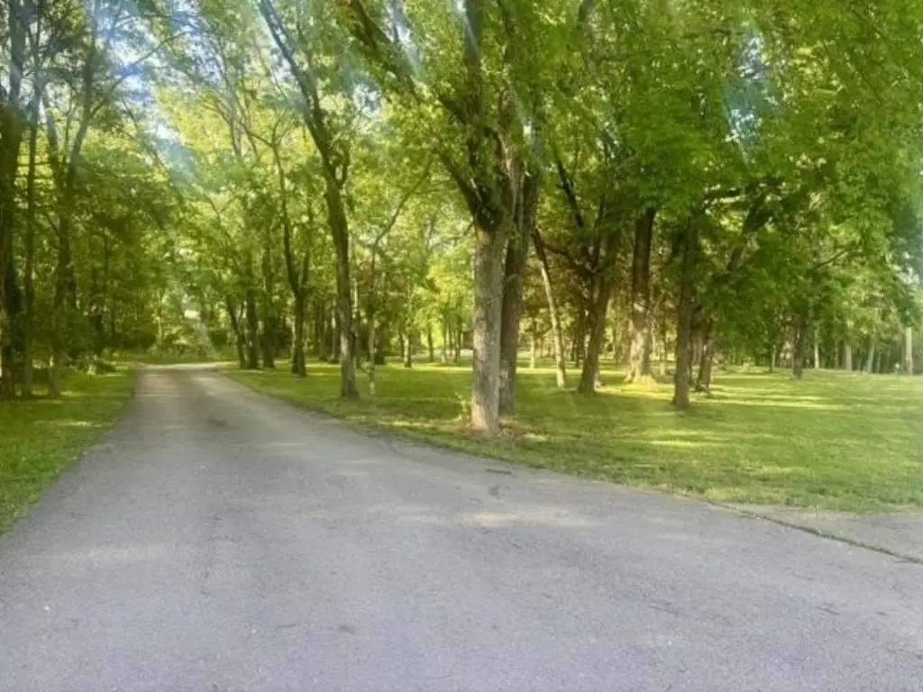 Picture 7