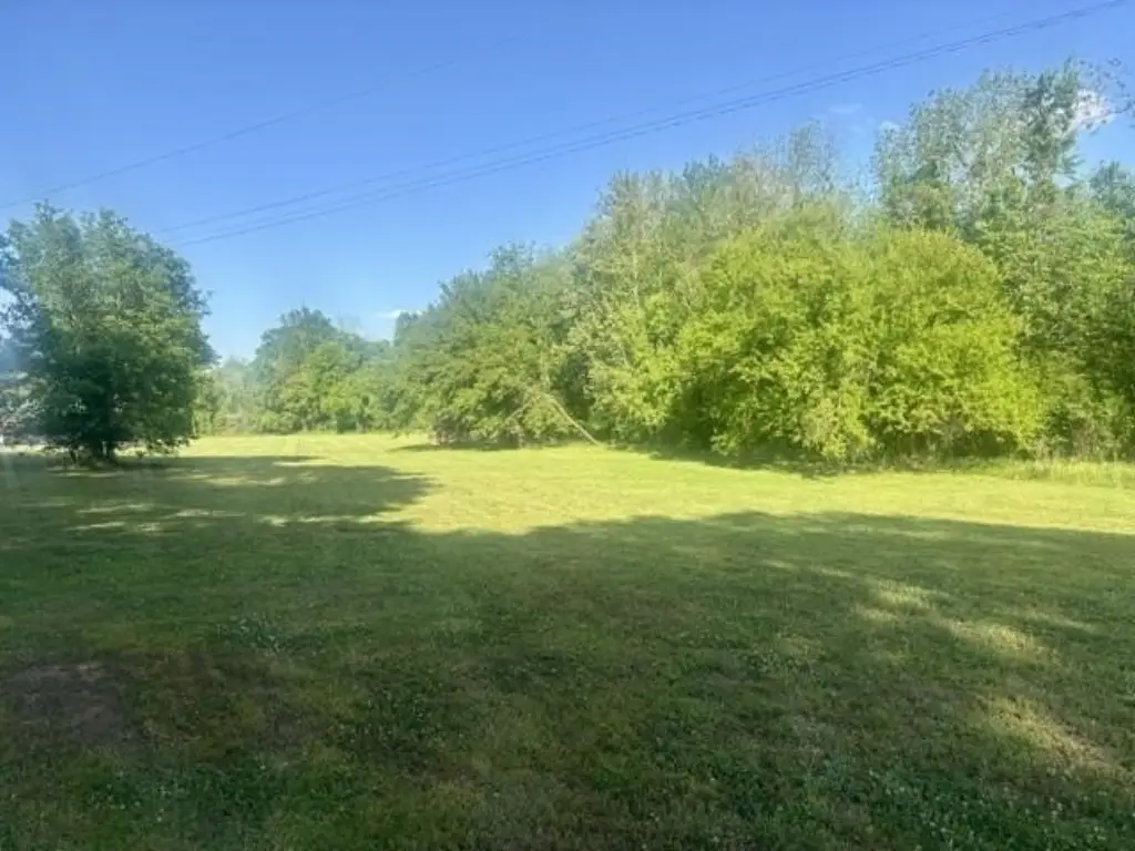 Picture 6