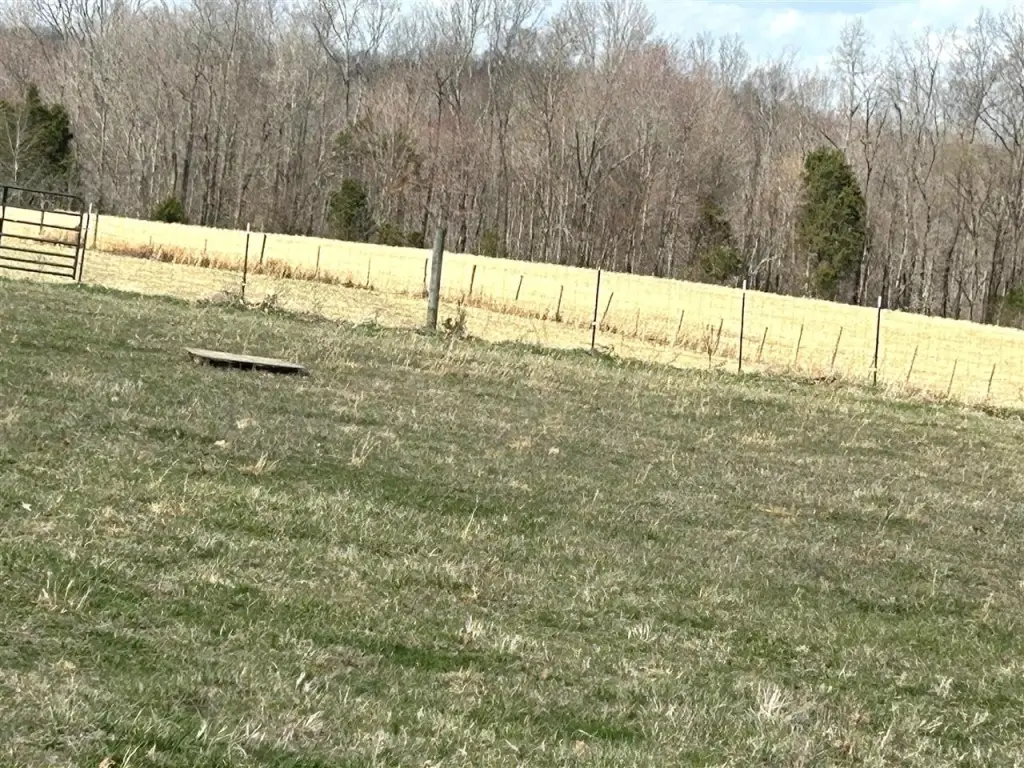 Picture 4