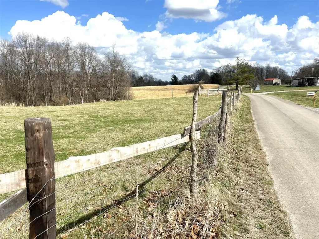 Picture 3