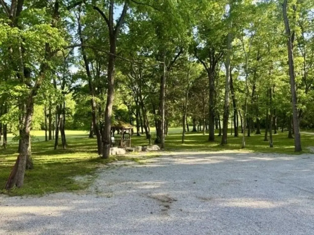 Picture 12