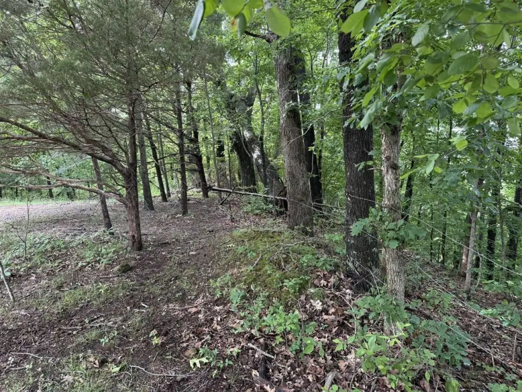 Picture 6