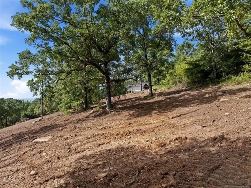 Picture 18