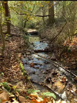 Unrestricted Wooded Land in Boomer