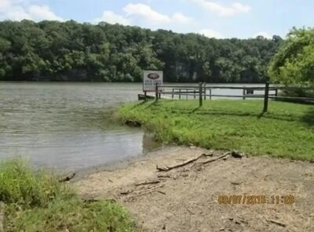 Picture 11