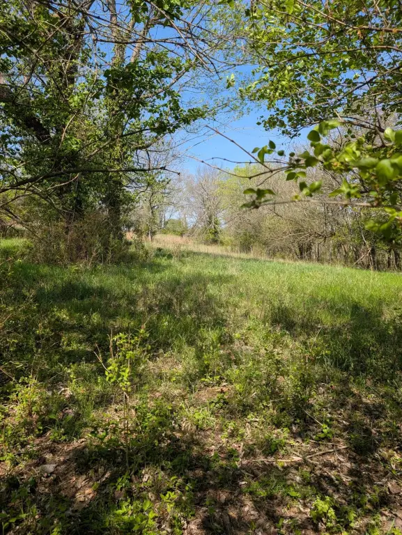 Picture 22