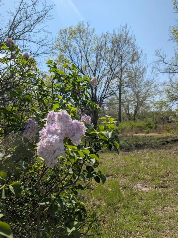 Picture 24