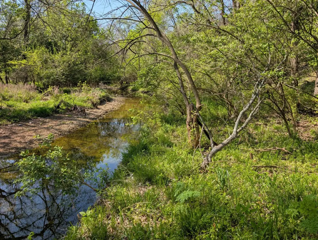 Picture 21