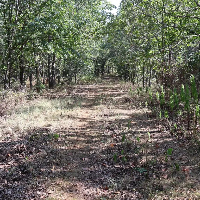Picture 19
