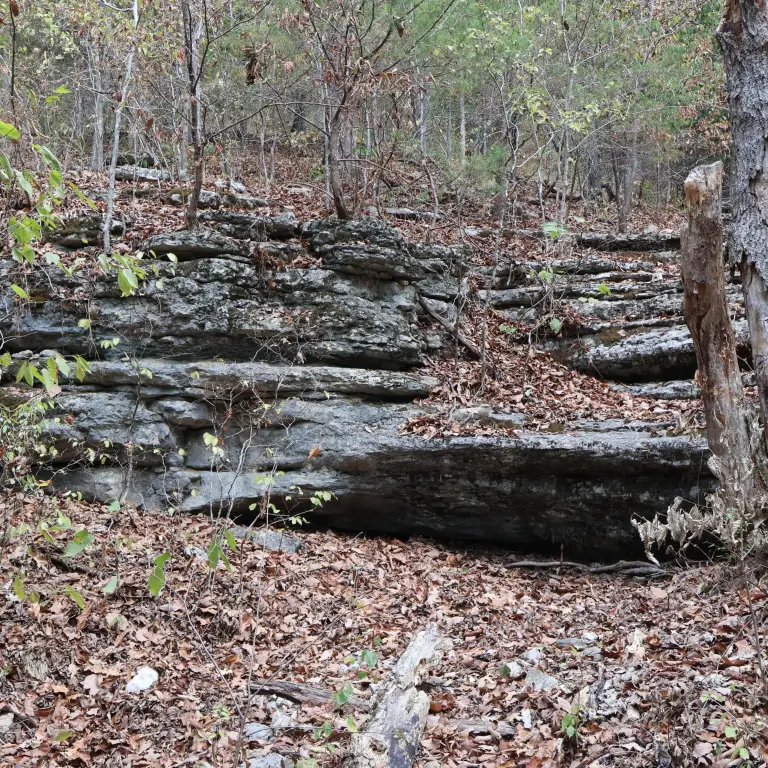 Picture 37