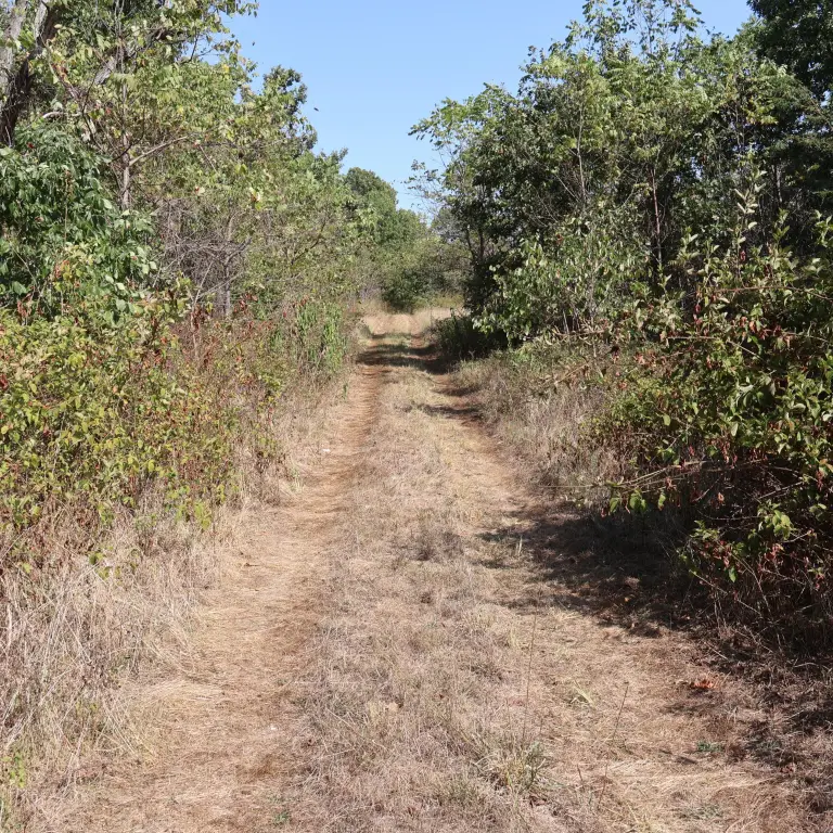 Picture 23