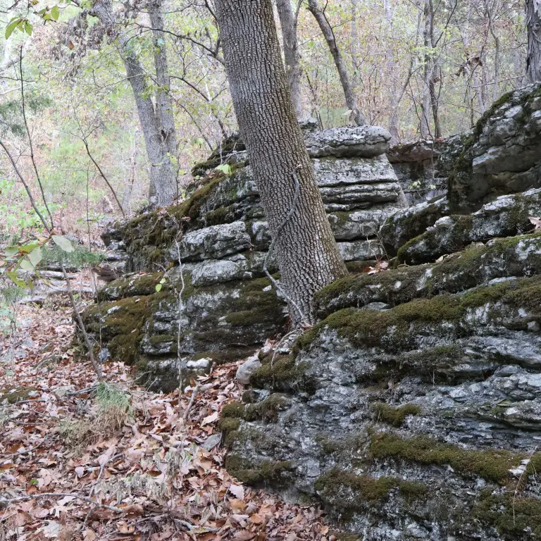 Picture 34