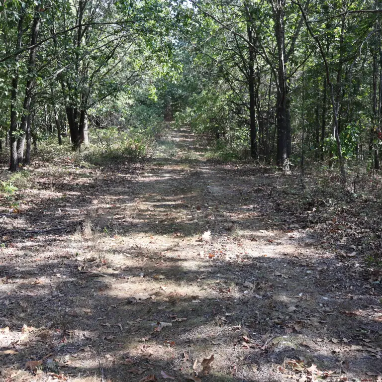 Picture 21