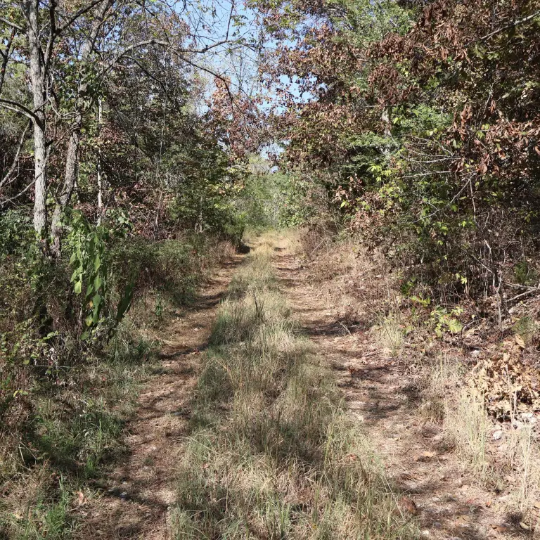 Picture 16