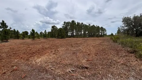 Viking Prairie 1.25-Acre Lot