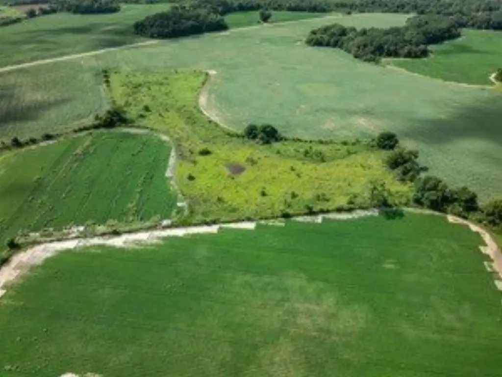 Picture 16