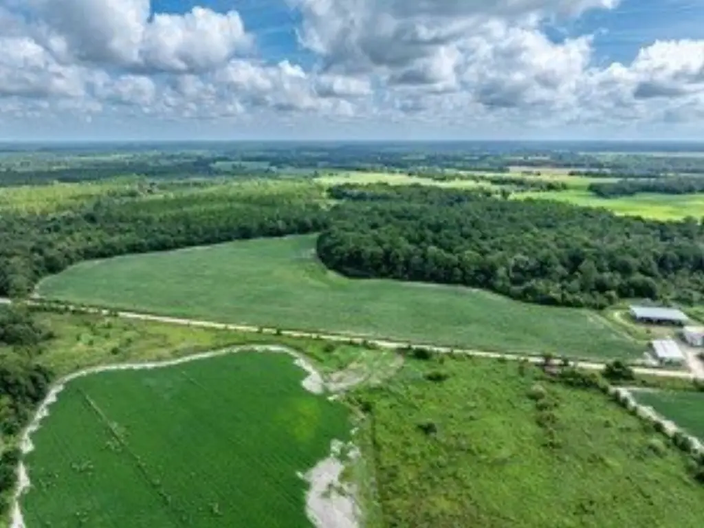 Picture 19